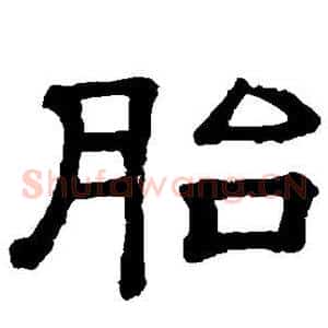胎