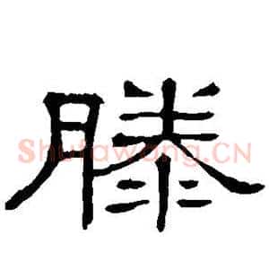 滕