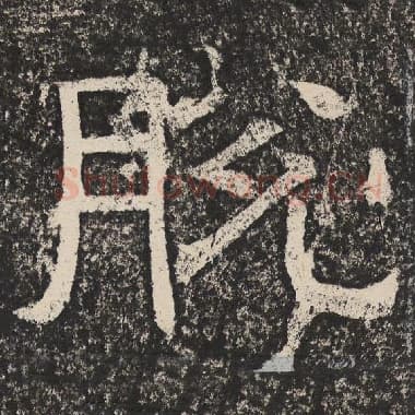北齐 梁恭之 毛笔隶书『脱』单字帖图片,摘自:陇东王感孝颂