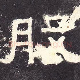 东汉 毛笔隶书『股』单字帖图片，摘自：张迁碑