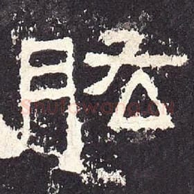 东汉 毛笔隶书『肱』单字帖图片，摘自：张迁碑