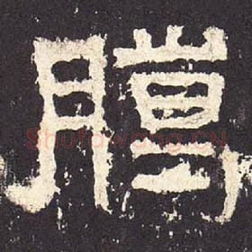 东汉 毛笔隶书『腊』单字帖图片，摘自：张迁碑