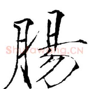 肠