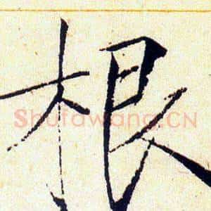 根