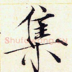 集