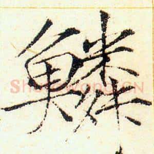 鱗