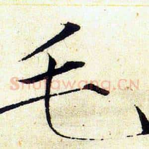 毛