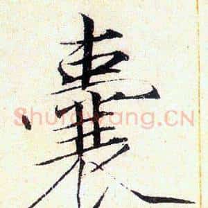 囊