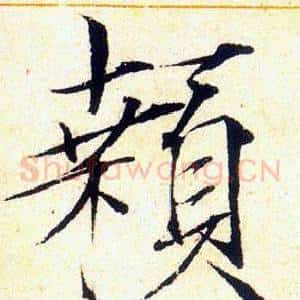 顙