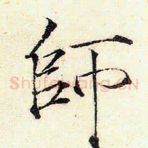 師