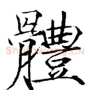 体