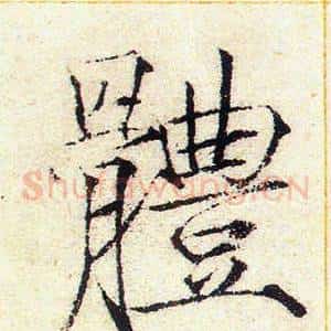 體