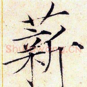 薪