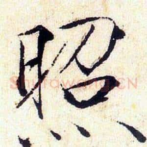 照