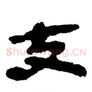 支