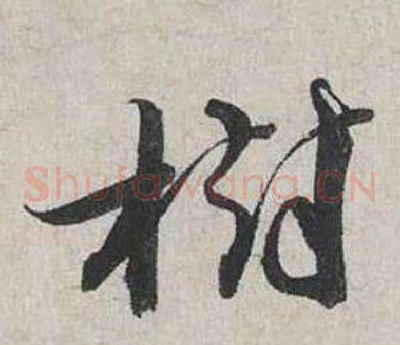 樹