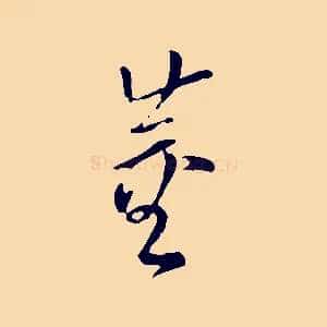 董