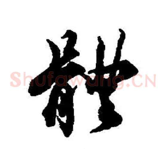 體
