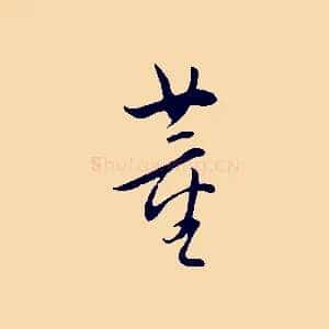 董