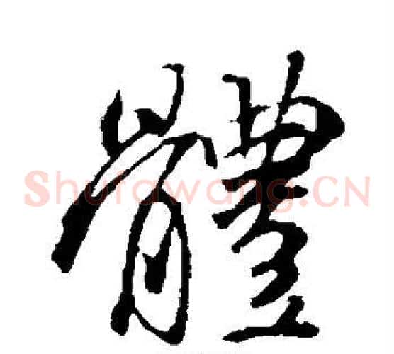 体