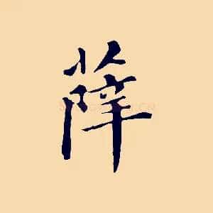 薛