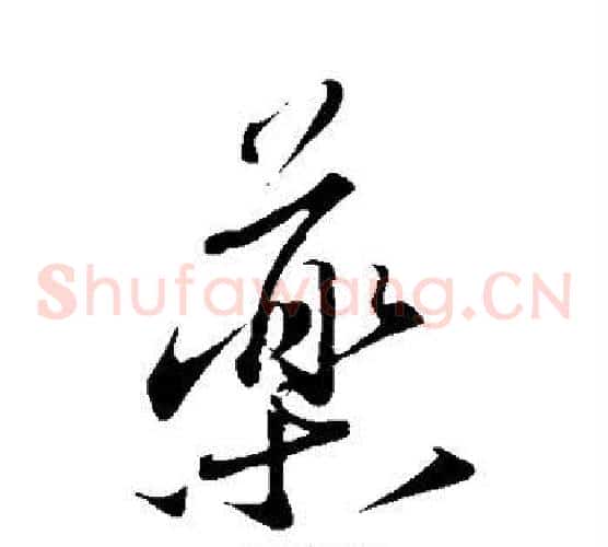 药