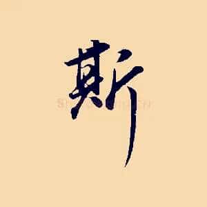 斯