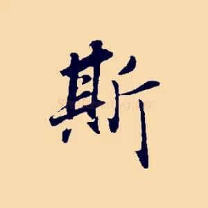 斯