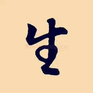 生