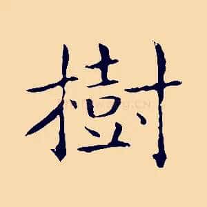 樹
