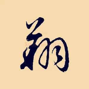 翔