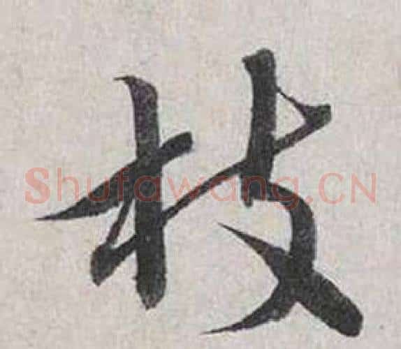 枝