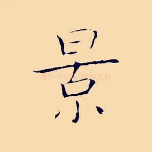 景