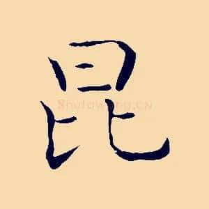 昆