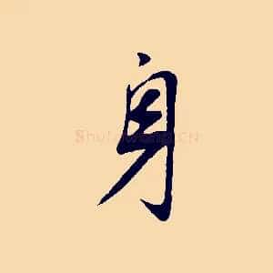 身
