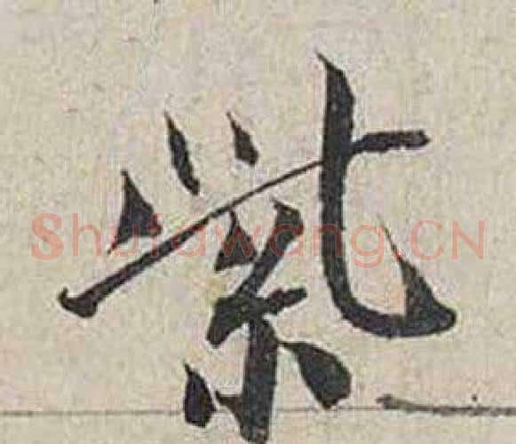 紫