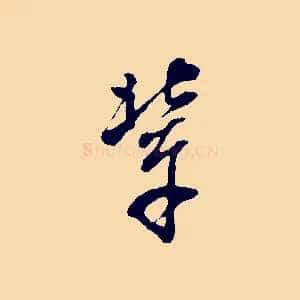 輩
