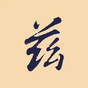 茲