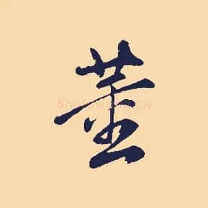 董
