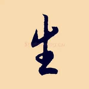 生