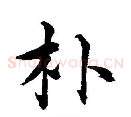 朴