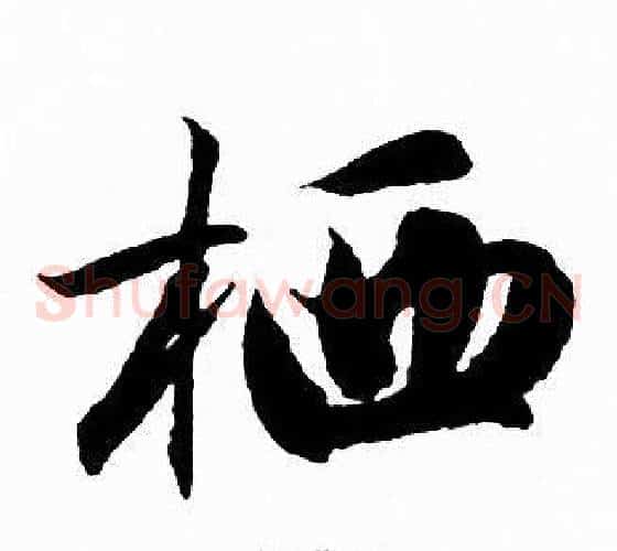 栖