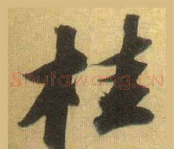 桂