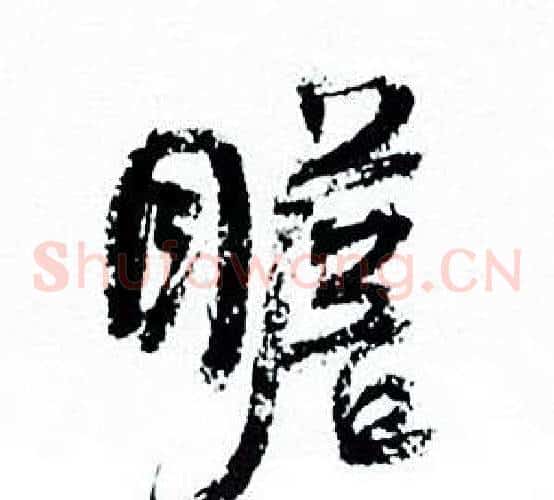 瞻