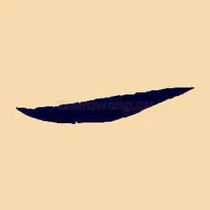 一