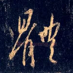 体