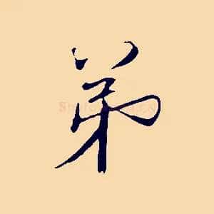 弟