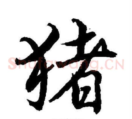 猪