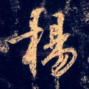 杨