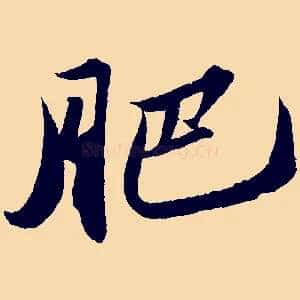 肥